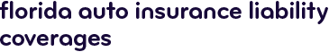 Florida auto insurance liability coverages
