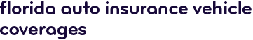 Florida auto insurance vehicle coverages