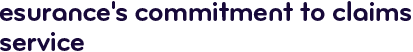Esurance's commitment to claims service