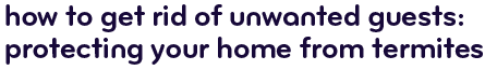 How to get rid of unwanted guests: Protecting your home from termites