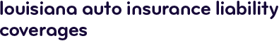 Louisiana auto insurance liability coverages