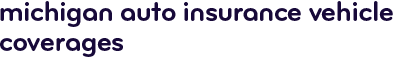Michigan auto insurance vehicle coverages