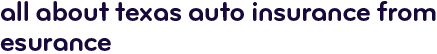 All about Texas auto insurance from Esurance