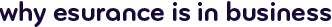 Why Esurance is in business